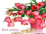 Best wishes