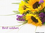 Best wishes