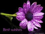 Best wishes