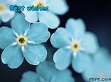 Best wishes