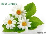 Best wishes