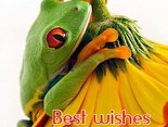 Best wishes