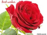 Best wishes