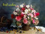 Best wishes