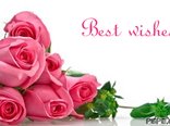 Best wishes