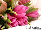Best wishes
