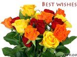 Best wishes