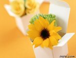 Best wishes