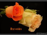 Best wishes