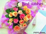 Best wishes