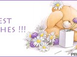 Best Wishes !!!