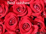 Best wishes