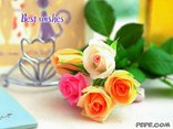 Best wishes