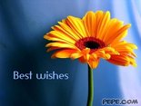 Best wishes
