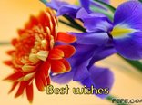 Best wishes