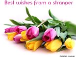 Best wishes from a stranger