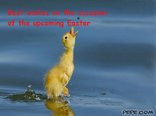 Best wishes on the occasion of the upcoming Easter:)