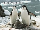 Better together ...