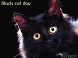 Black cat day