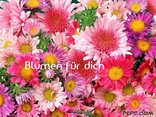 Blumen für dich
