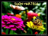 BUON MARTEDI !