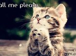 Call me please...