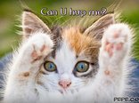 Can U hug me?