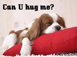 Can U hug me?