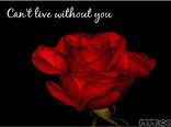 Can't live without you