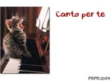 Canto per te