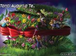 Cartolina per compleanno