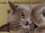chill ... everything under control ...