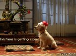 Christmas is getting closer ...