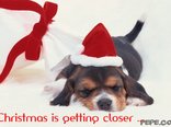 Christmas is getting closer ...