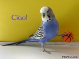 Ciao!