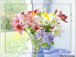 Colorful and joyful day!