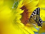 Colorful and joyful day!