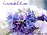 Congratulations