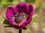 Congratulations