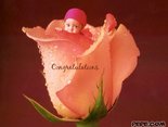Congratulations