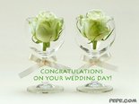 Congratulations on your wedding day!
