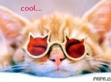 cool....