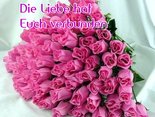 Die Liebe hat Euch verbunden