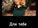 Для тебе