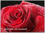 Для тебе мій коханий