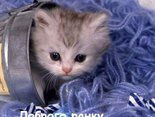 Доброго ранку