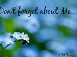Don't forget about Me..