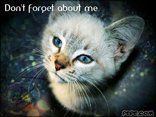 Don't forget about me