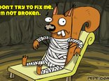 Don't try to fix me