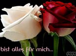 Du bist alles für mich